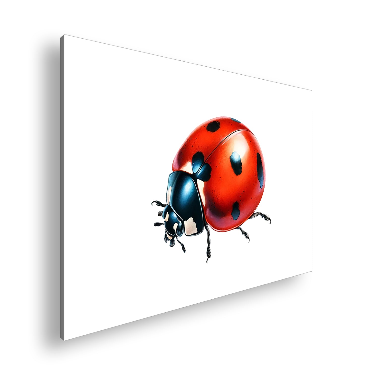 Vorschaubild Wohnzimmerbild 4