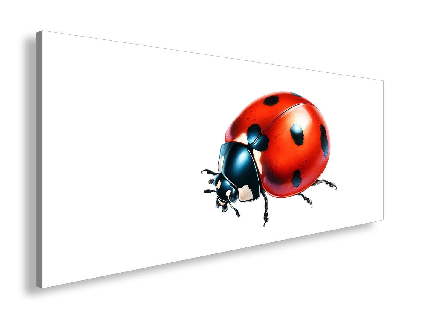 Hauptbild Farbig Panorama