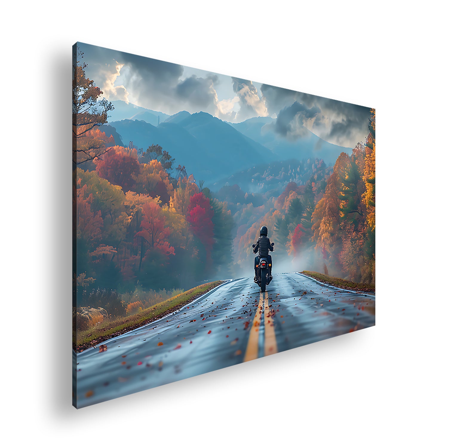 Hauptbild Farbig Standart