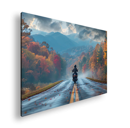 Hauptbild Farbig Standart