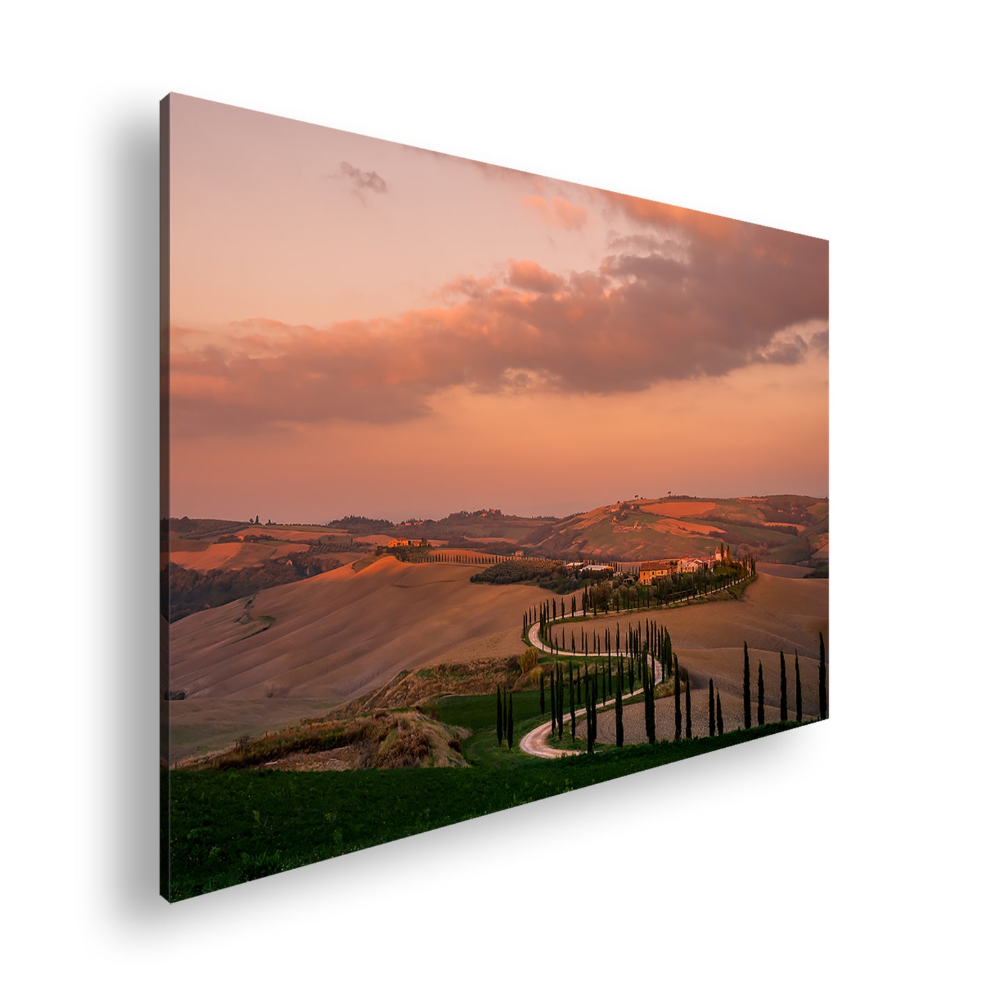 Hauptbild Farbig Standart