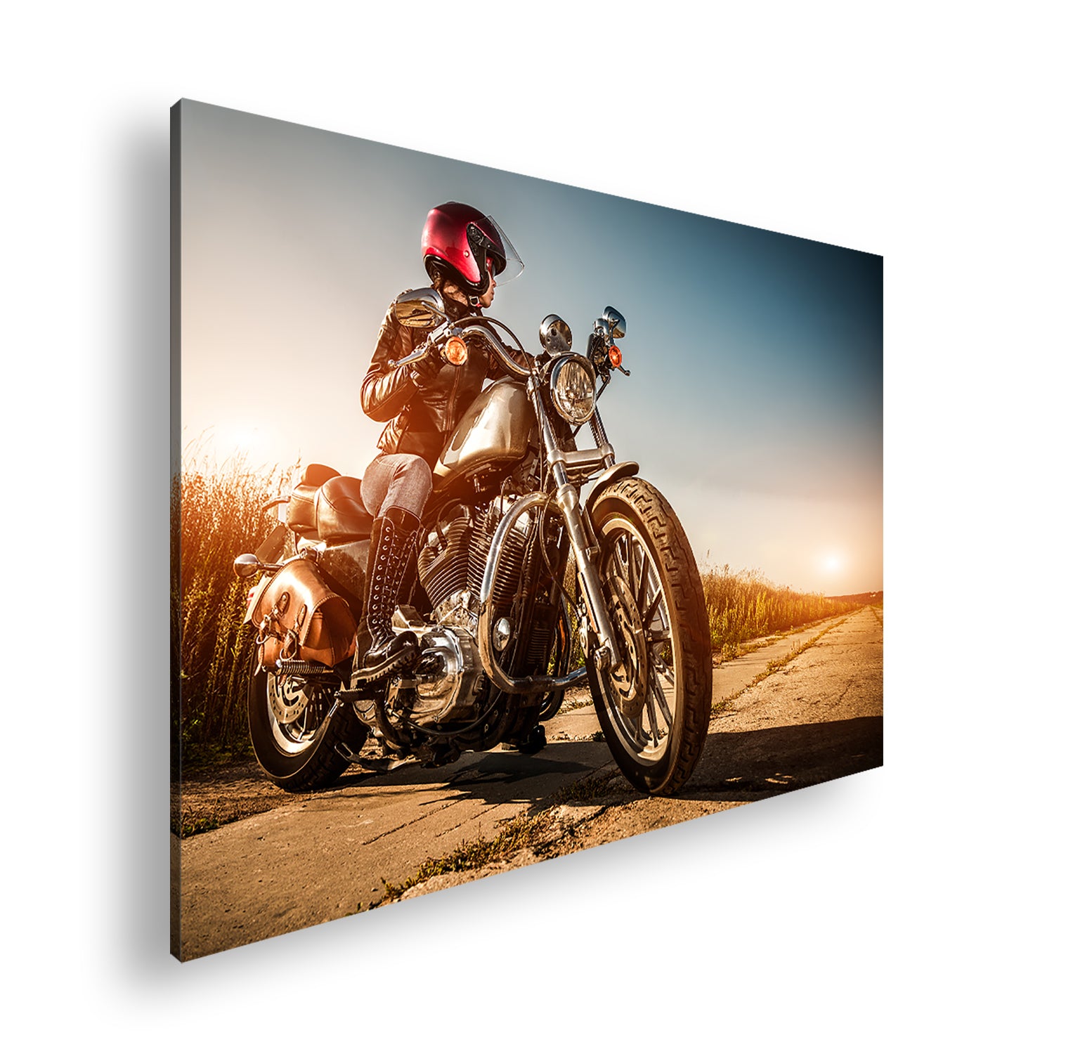 Hauptbild Farbig Standart