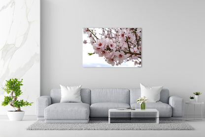 Vorschaubild Wohnzimmerbild 1