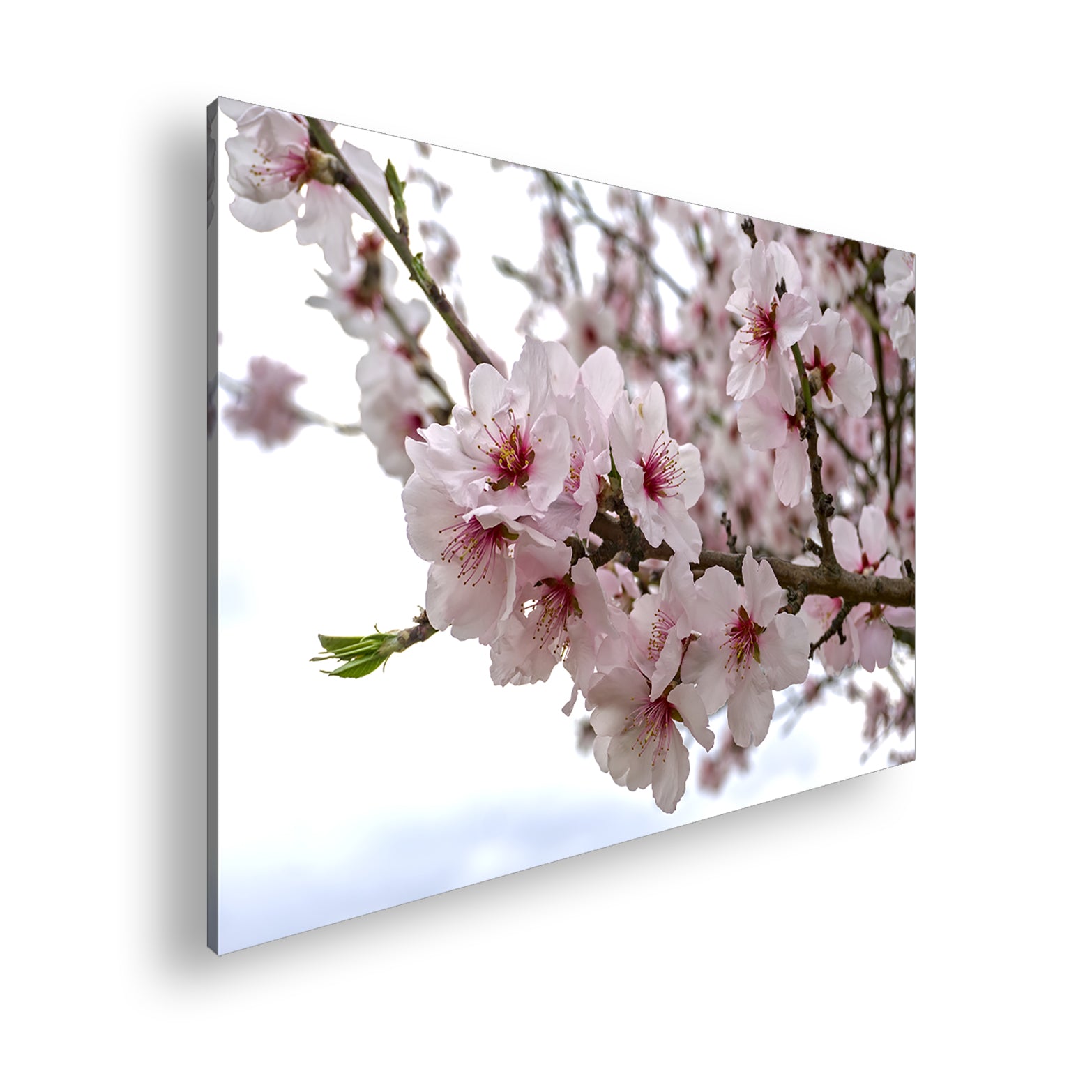 Hauptbild Farbig Standart