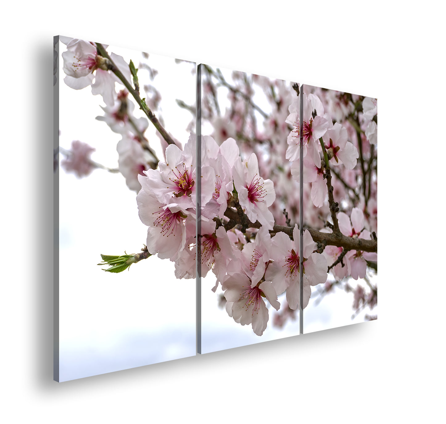 Hauptbild Farbig 3 Teilig