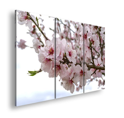 Hauptbild Farbig 3 Teilig