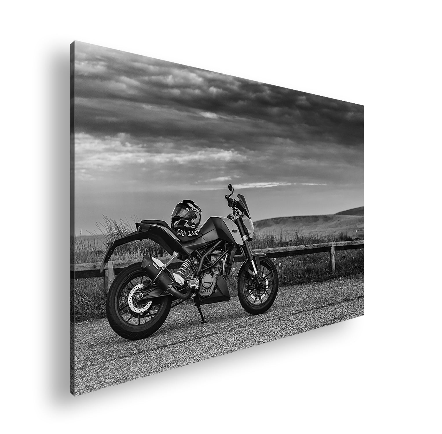 Hauptbild Farbig Standart