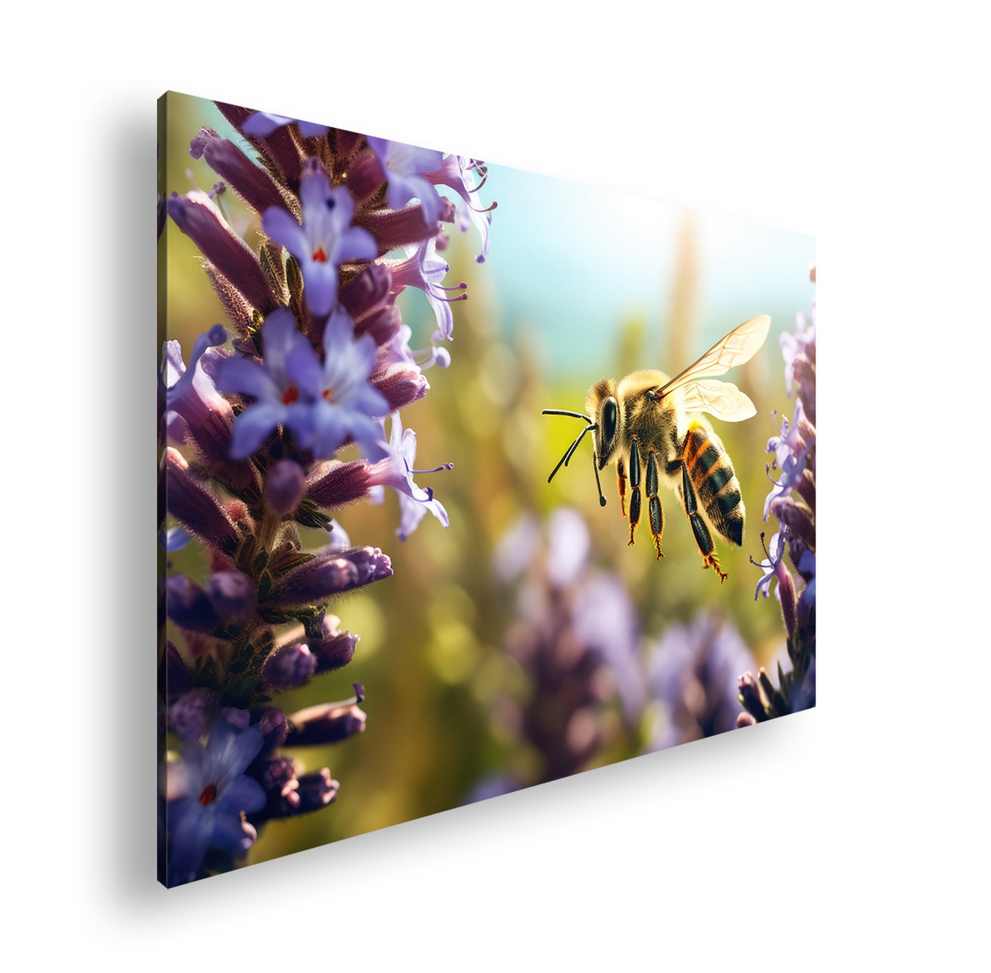 Hauptbild Farbig Standart