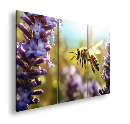 Hauptbild Farbig 3 Teilig