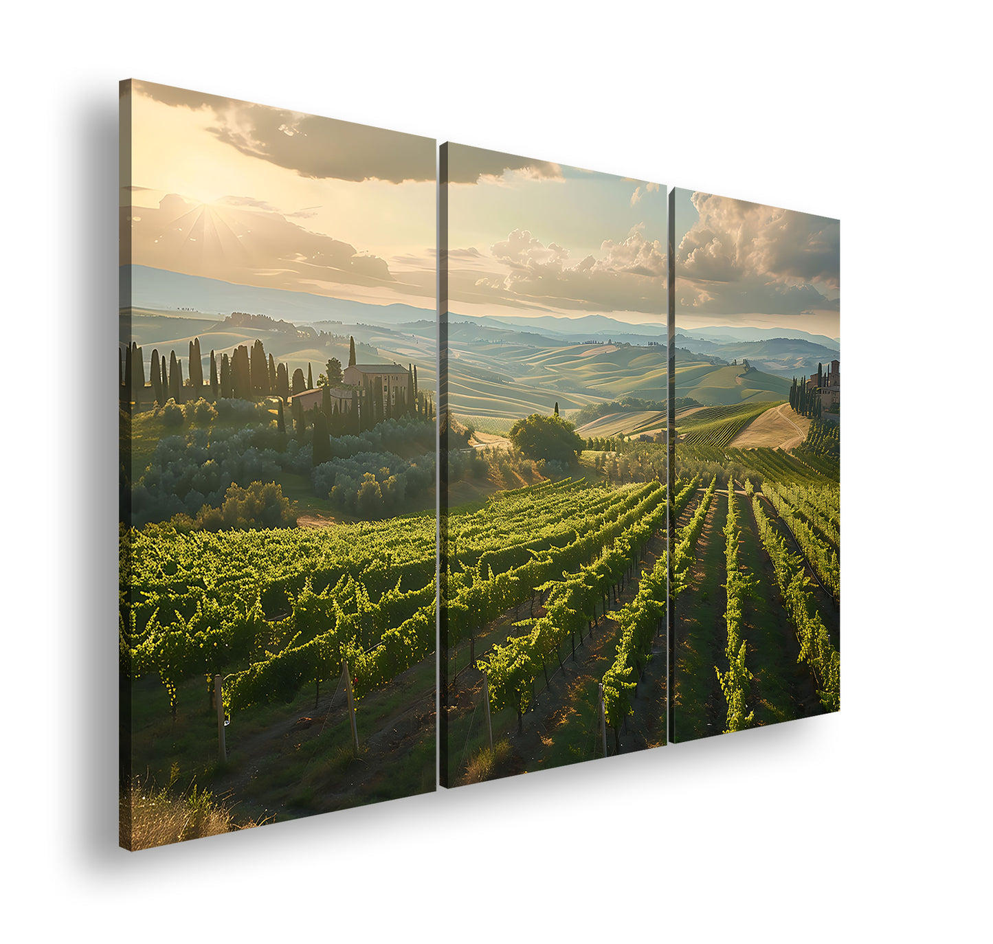 Hauptbild Farbig 3 Teilig