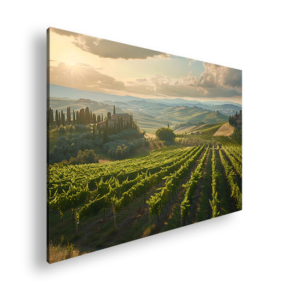 Hauptbild Farbig Standart