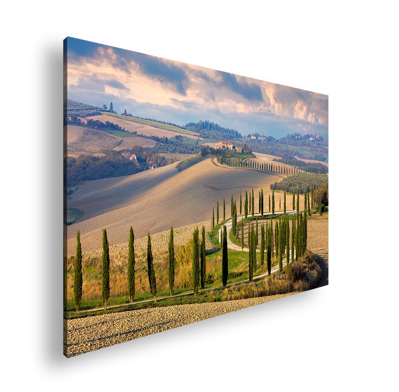 Hauptbild Farbig Standart