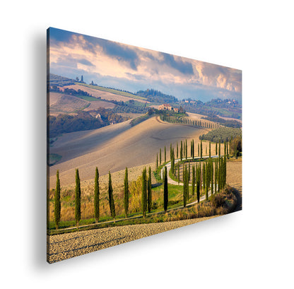 Hauptbild Farbig Standart