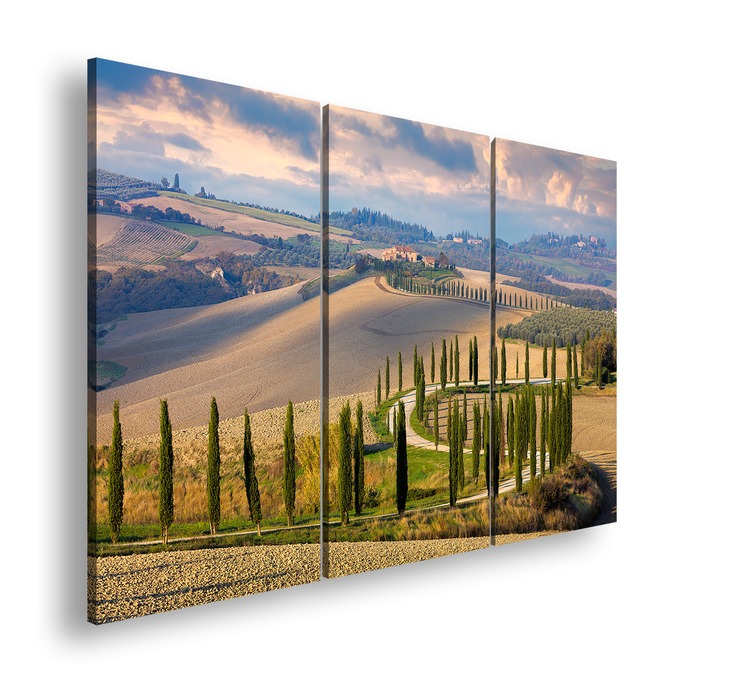 Hauptbild Farbig 3 Teilig