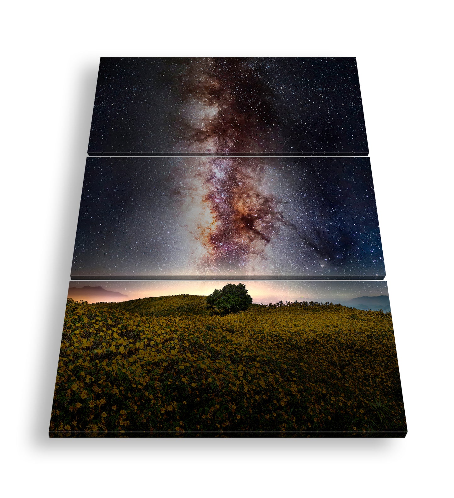 Hauptbild Farbig 3 Teilig