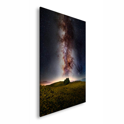 Hauptbild Farbig Standart