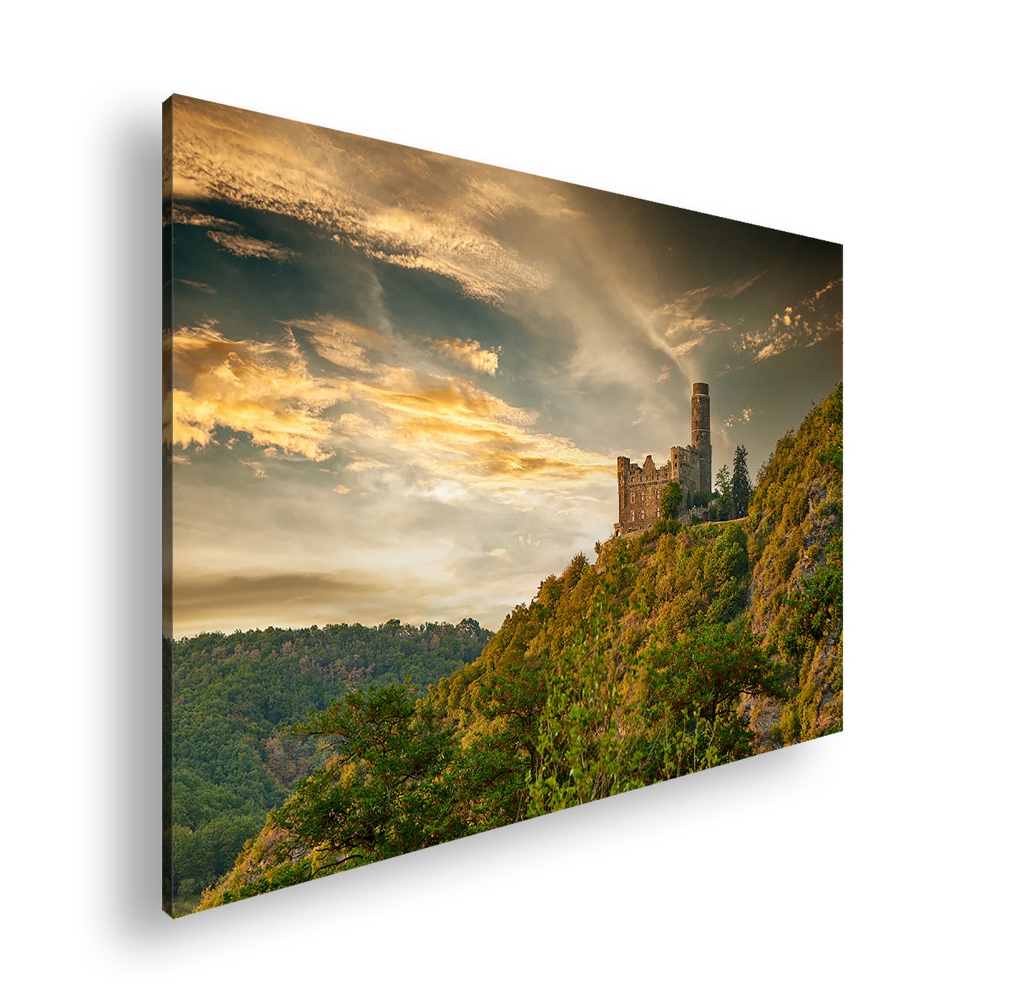 Hauptbild Farbig Standart