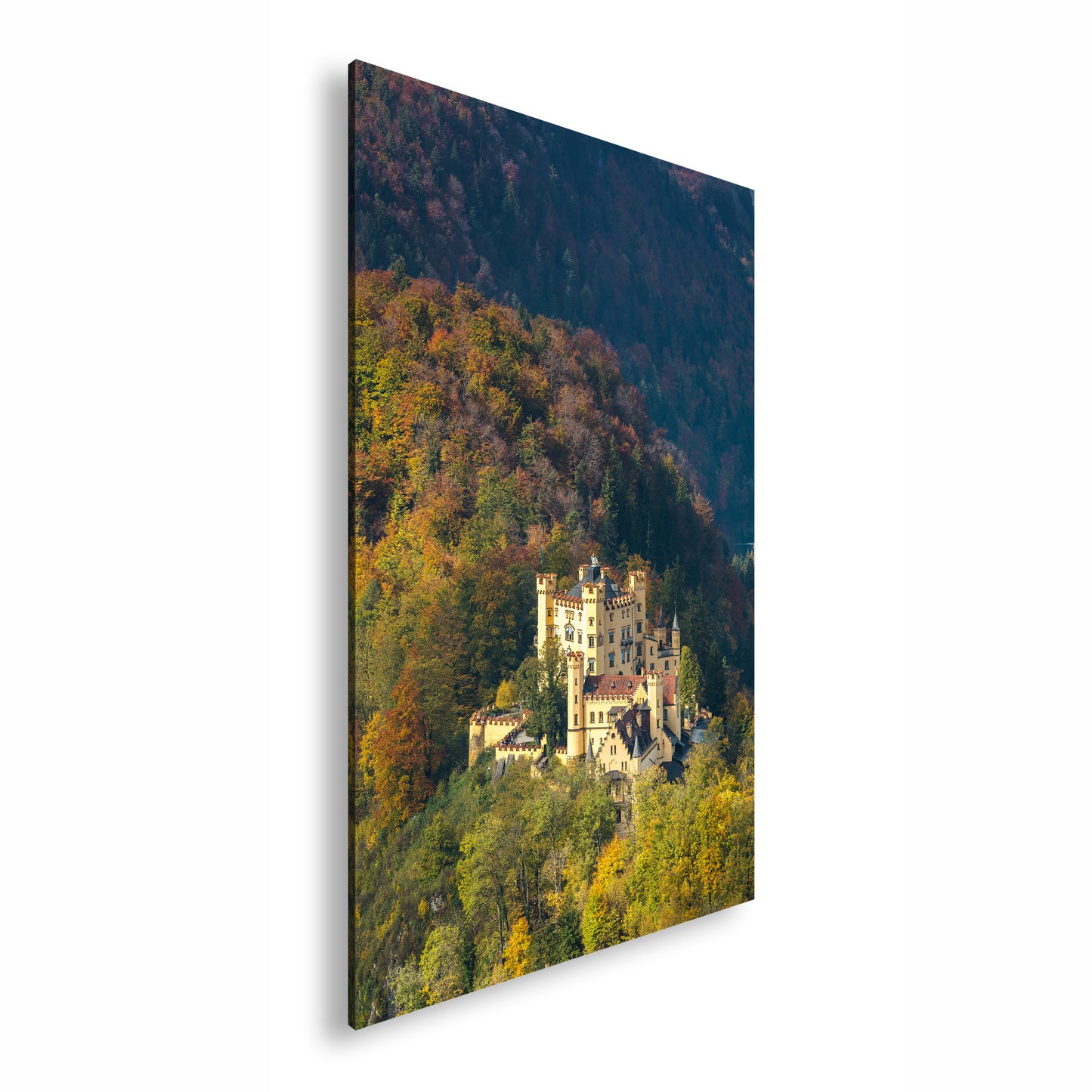 Hauptbild Farbig Standart