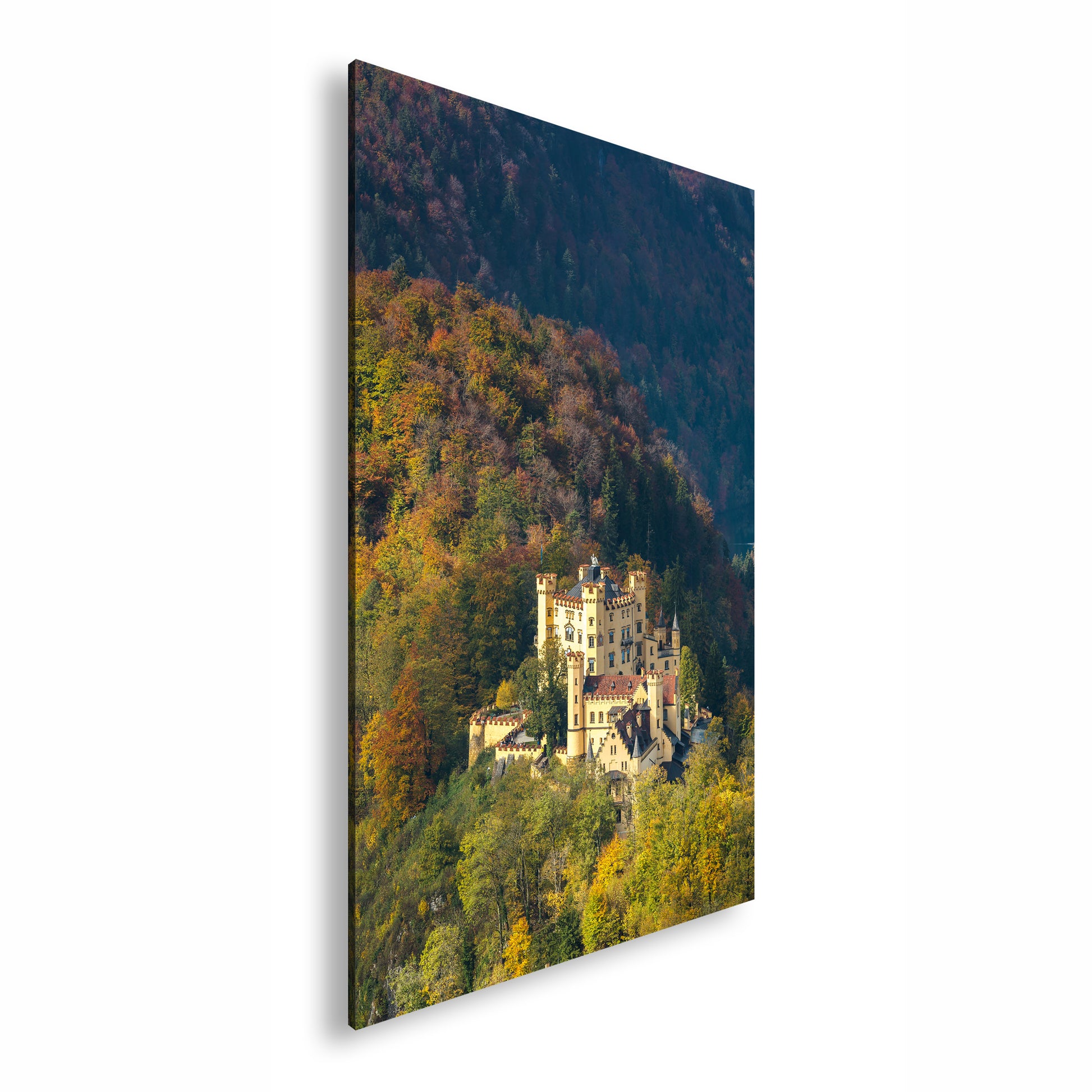 Hauptbild Farbig Standart