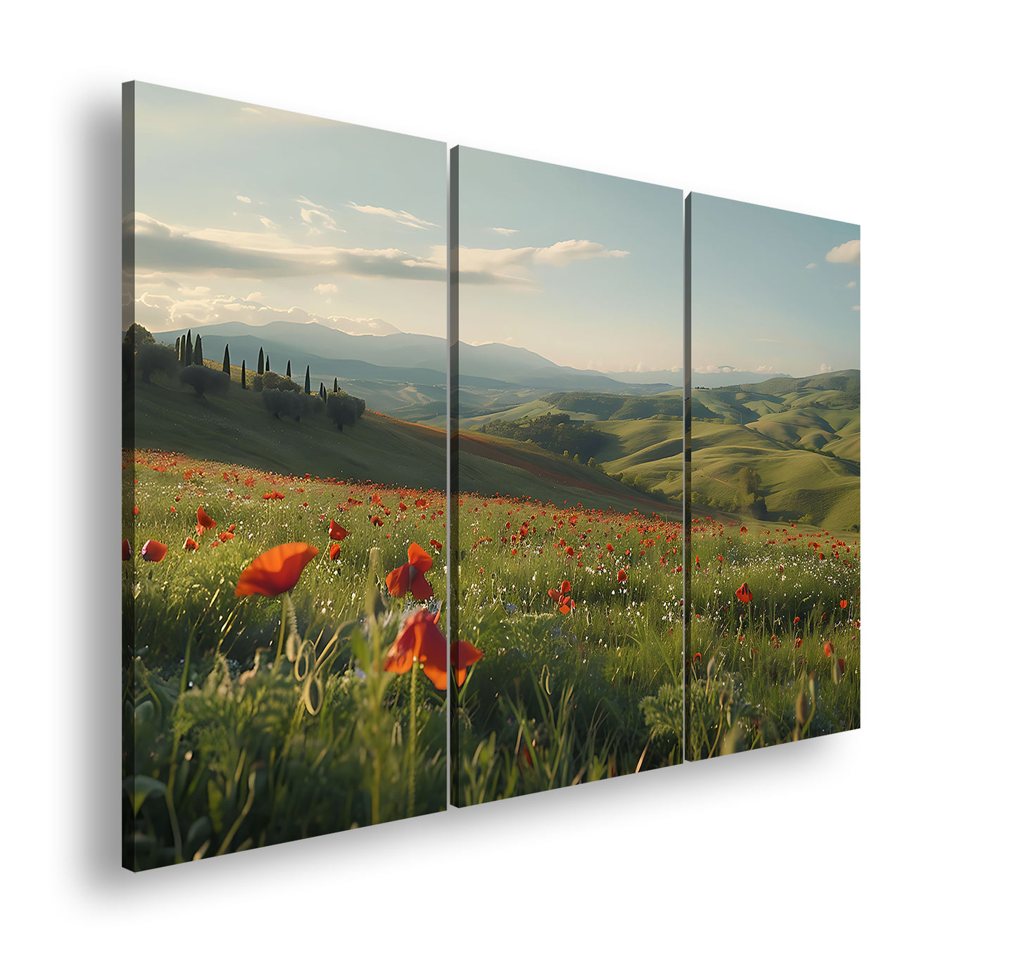 Hauptbild Farbig 3 Teilig