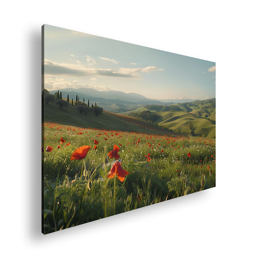 Hauptbild Farbig Standart