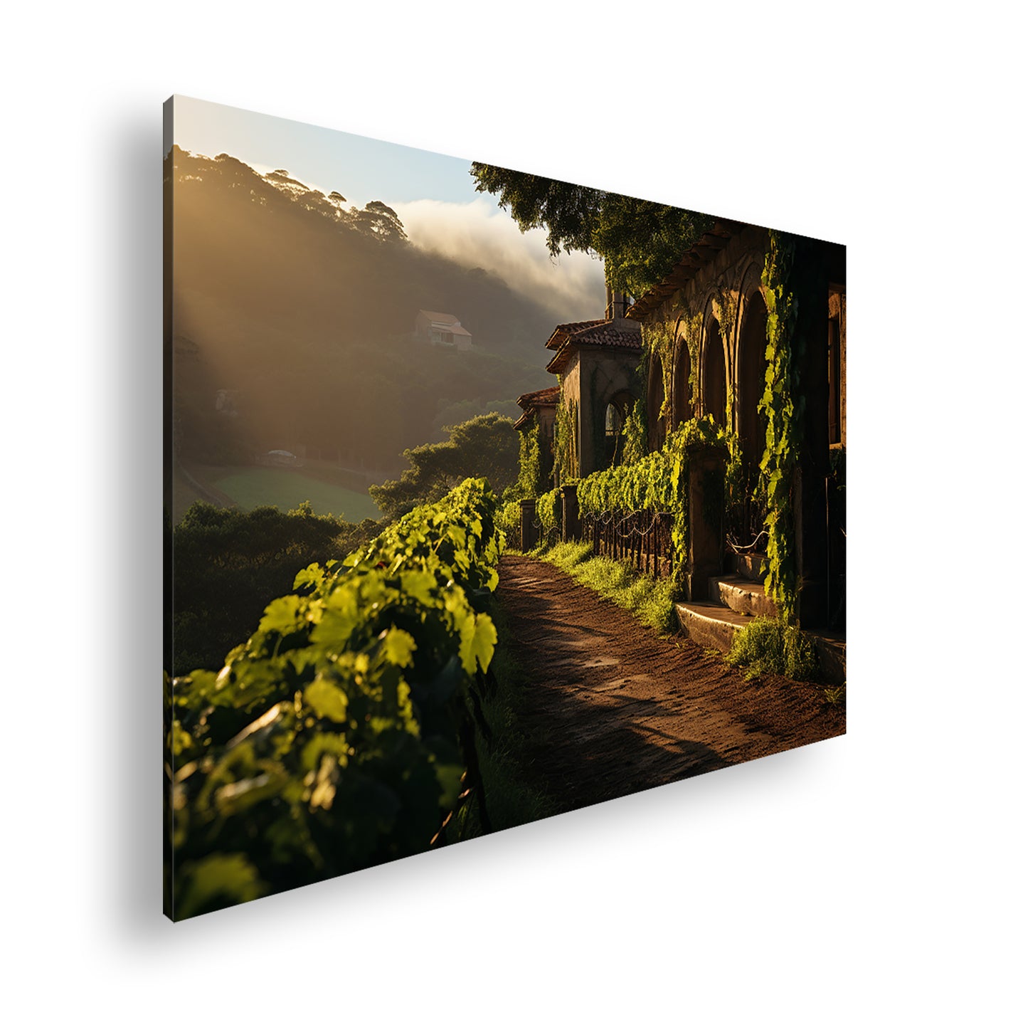 Hauptbild Farbig Standart