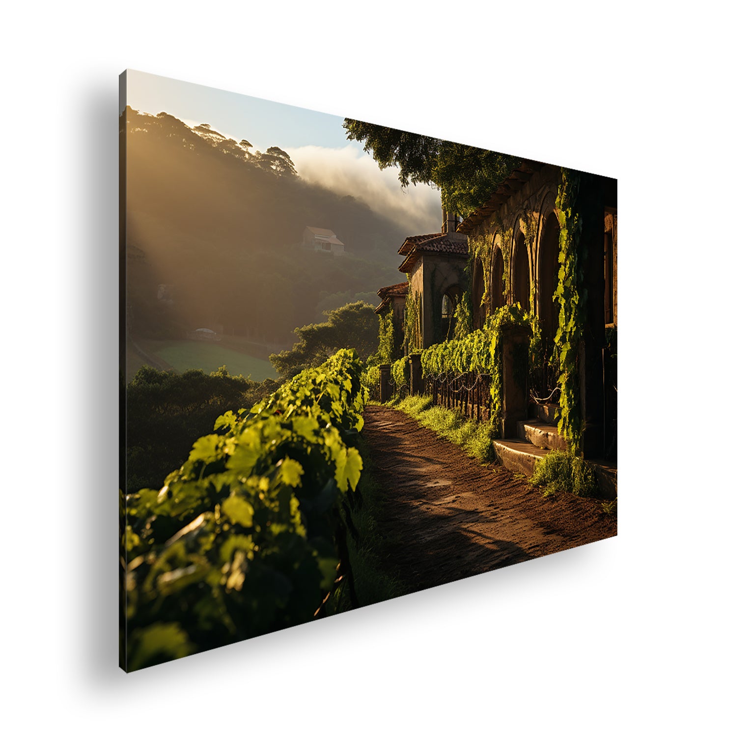 Hauptbild Farbig Standart