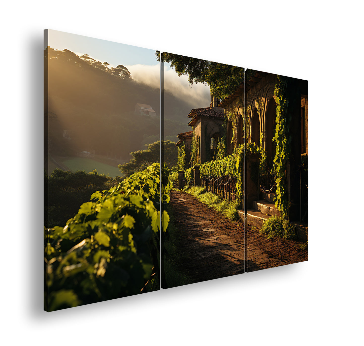 Hauptbild Farbig 3 Teilig