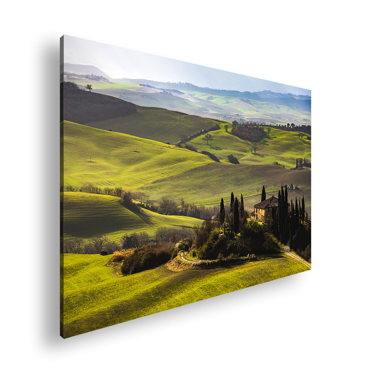 Hauptbild Farbig Standart