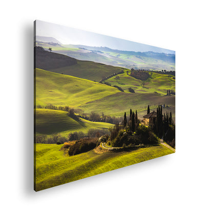 Hauptbild Farbig Standart