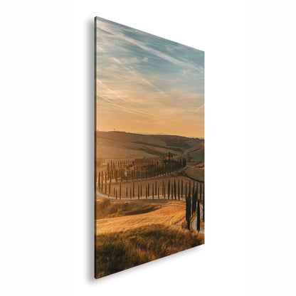 Hauptbild Farbig Standart