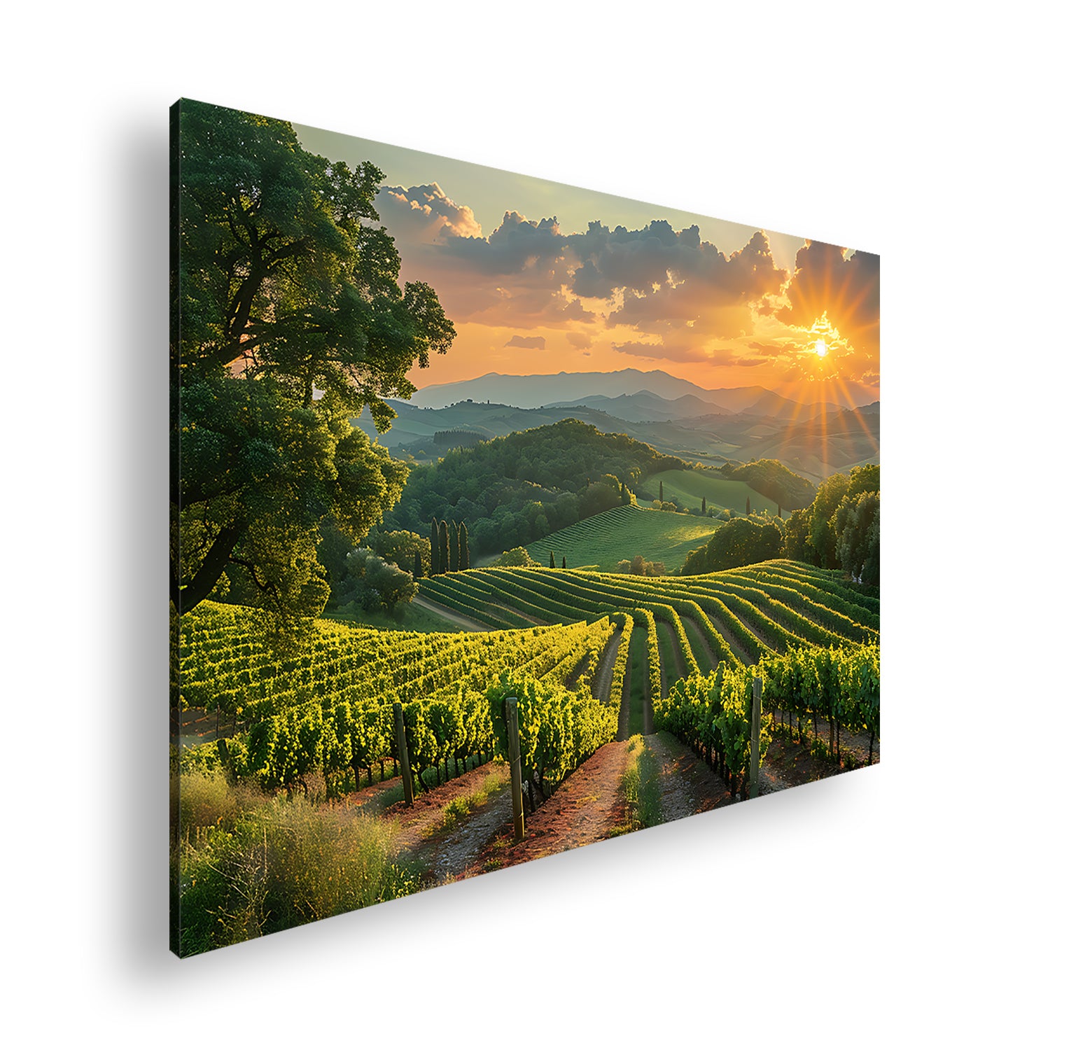 Hauptbild Farbig Standart