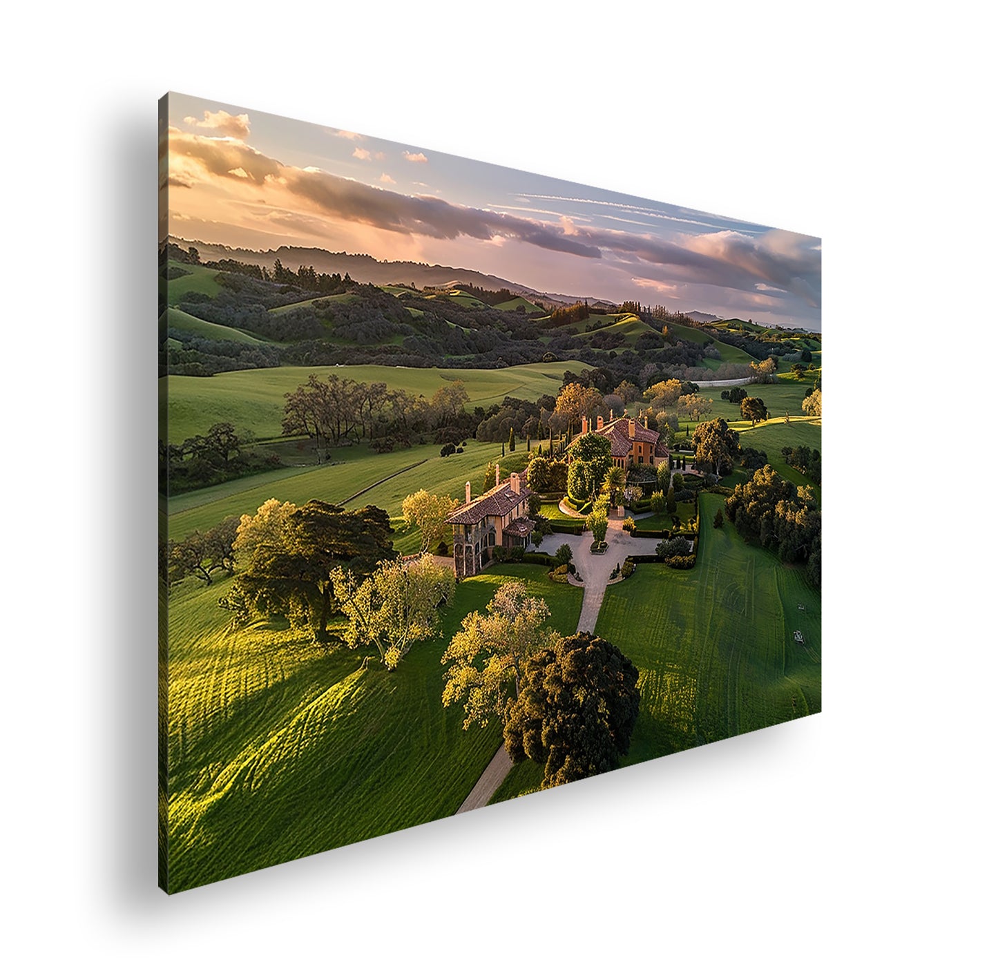 Hauptbild Farbig Standart