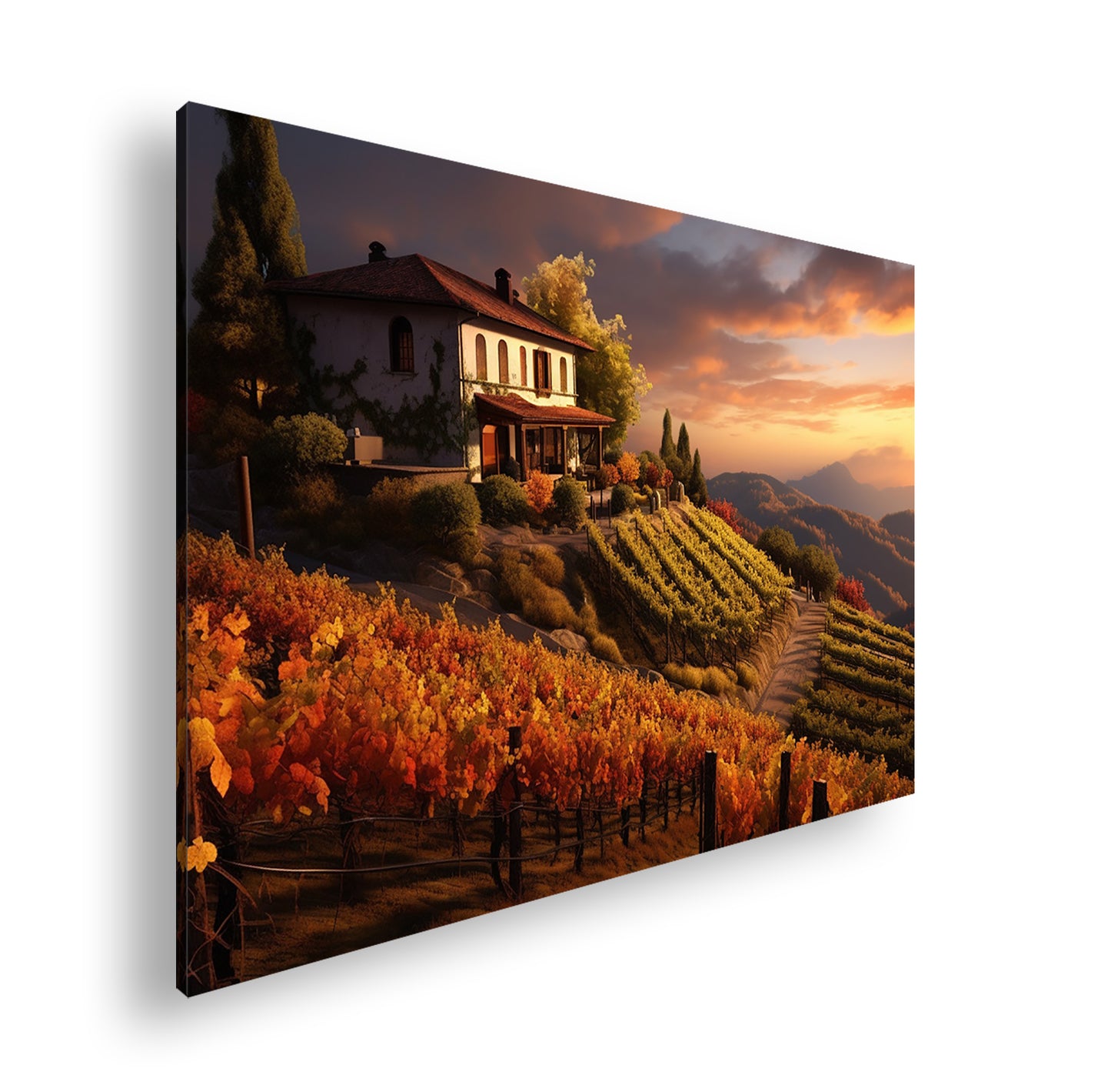 Hauptbild Farbig Standart