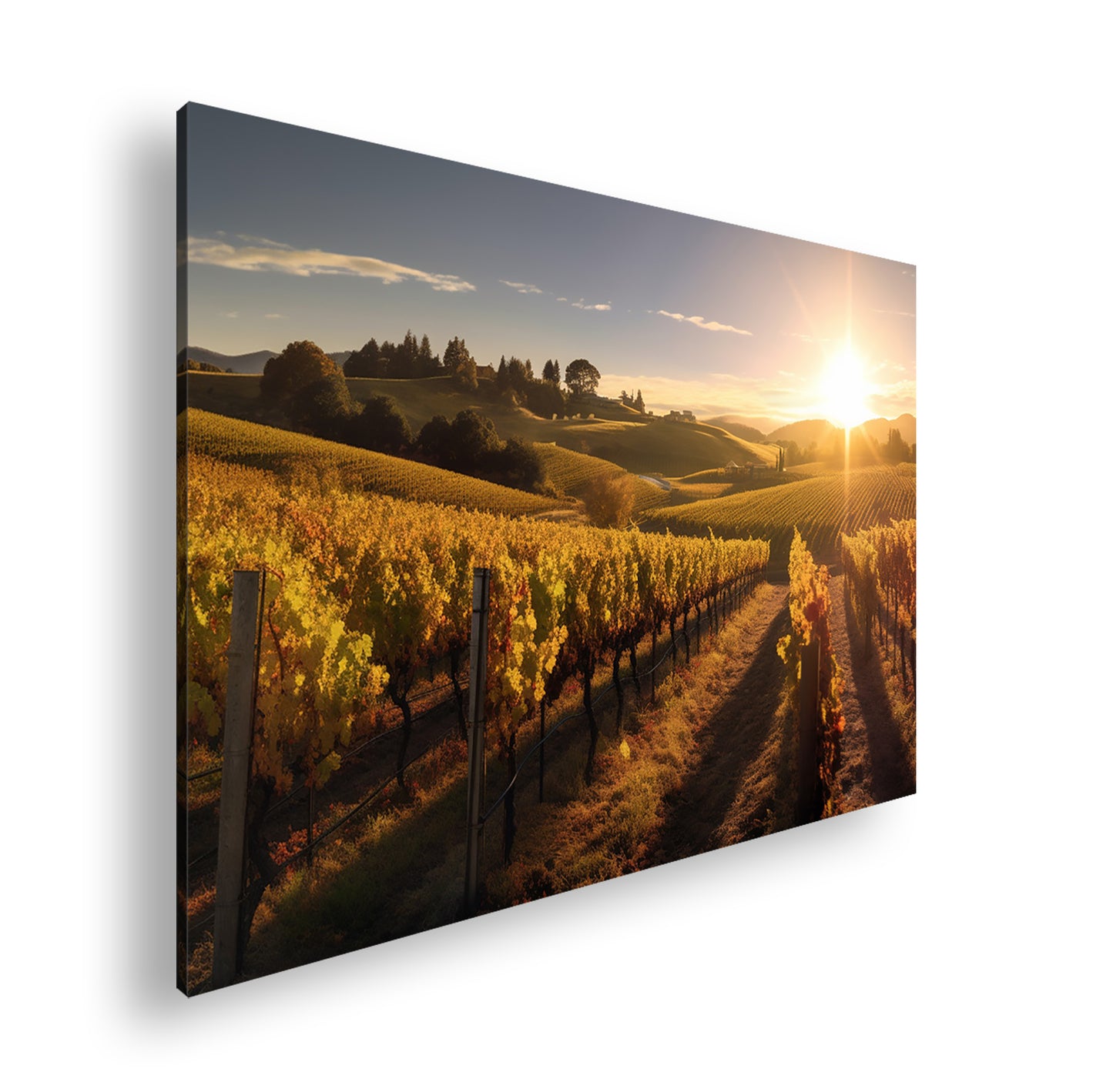 Hauptbild Farbig Standart