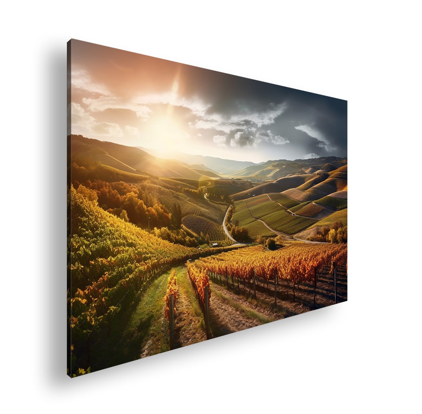 Hauptbild Farbig Standart