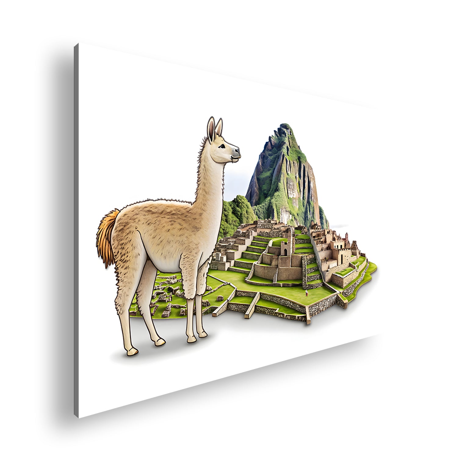 Hauptbild Farbig Standart