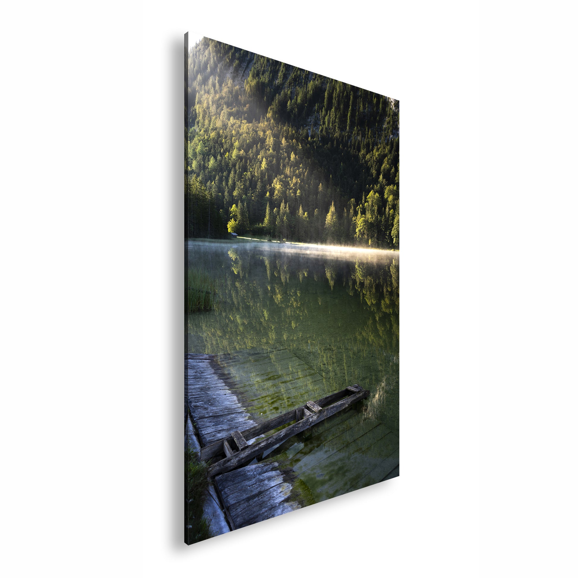 Hauptbild Farbig Standart