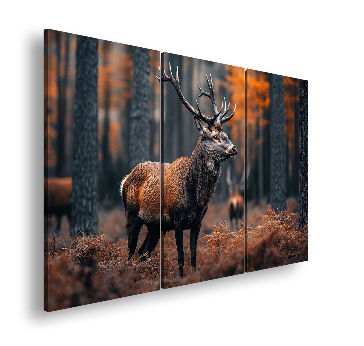 Hauptbild Farbig 3 Teilig