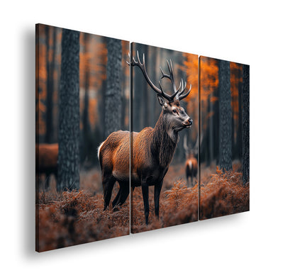 Hauptbild Farbig 3 Teilig