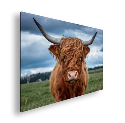 Hauptbild Farbig Standart