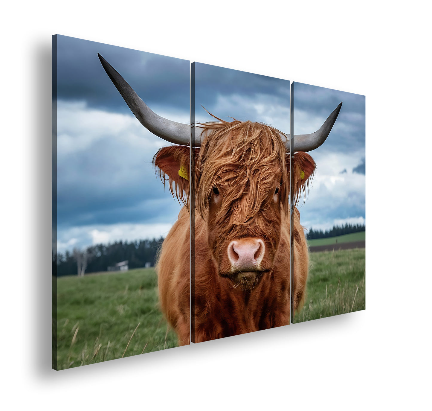 Hauptbild Farbig 3 Teilig