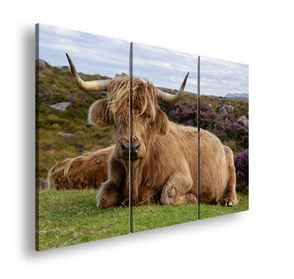 Hauptbild Farbig 3 Teilig