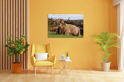 Vorschaubild Wohnzimmerbild 3