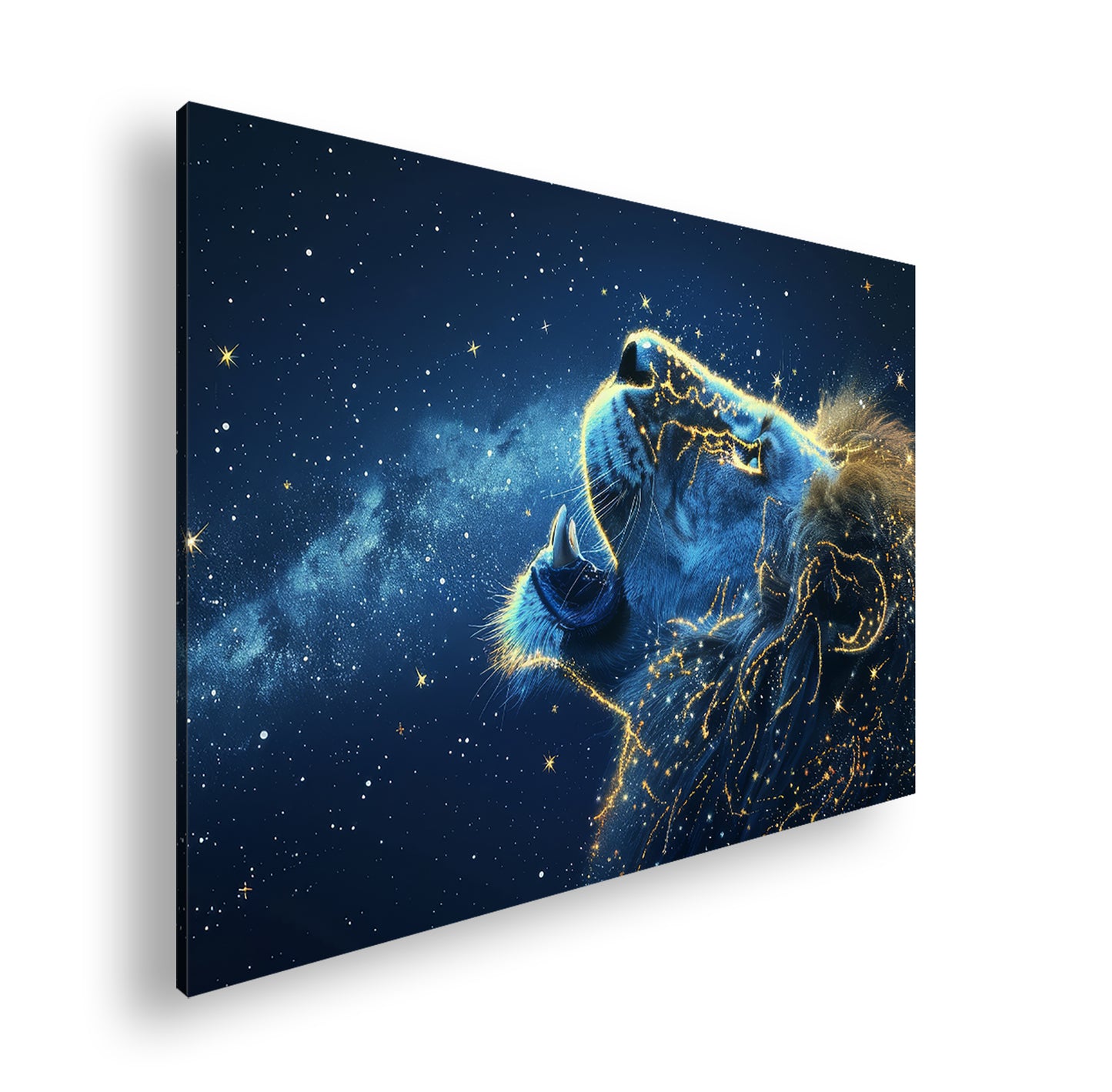 Hauptbild Farbig Standart