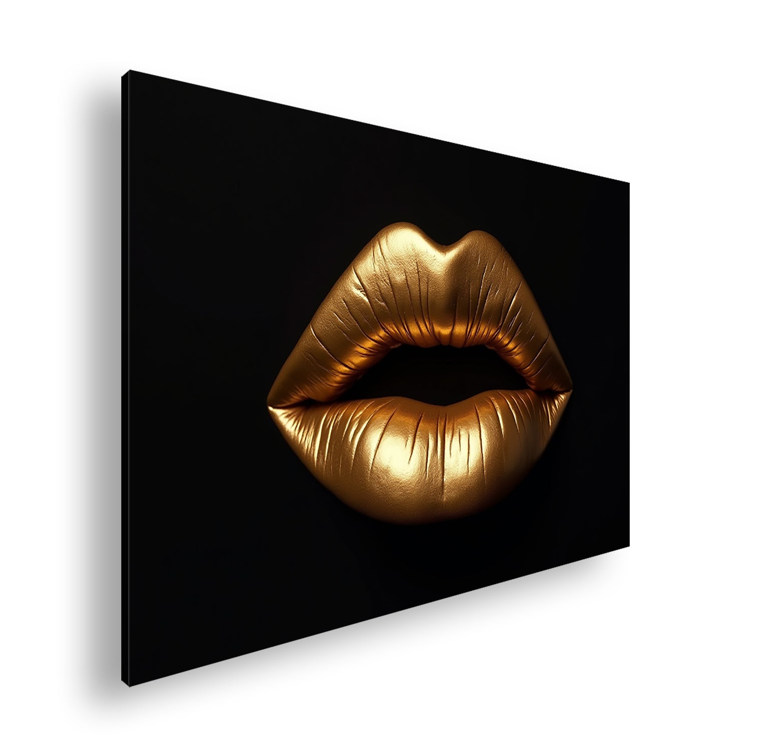 Hauptbild Farbig Standart