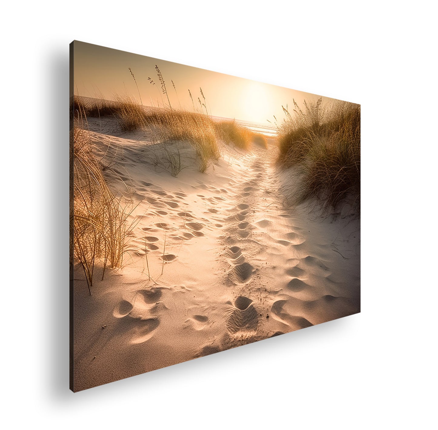 Hauptbild Farbig Standart