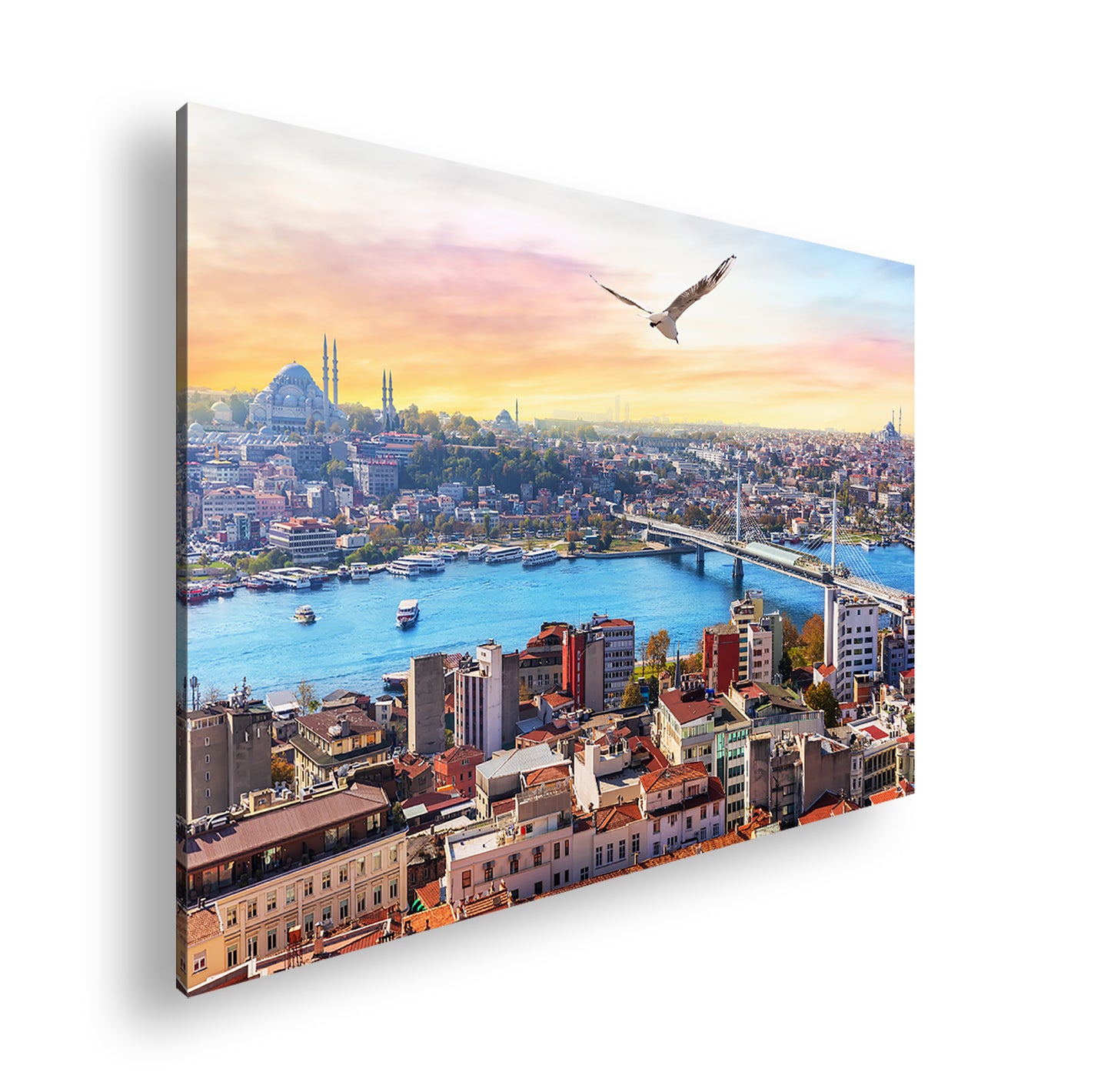 Hauptbild Farbig Standart