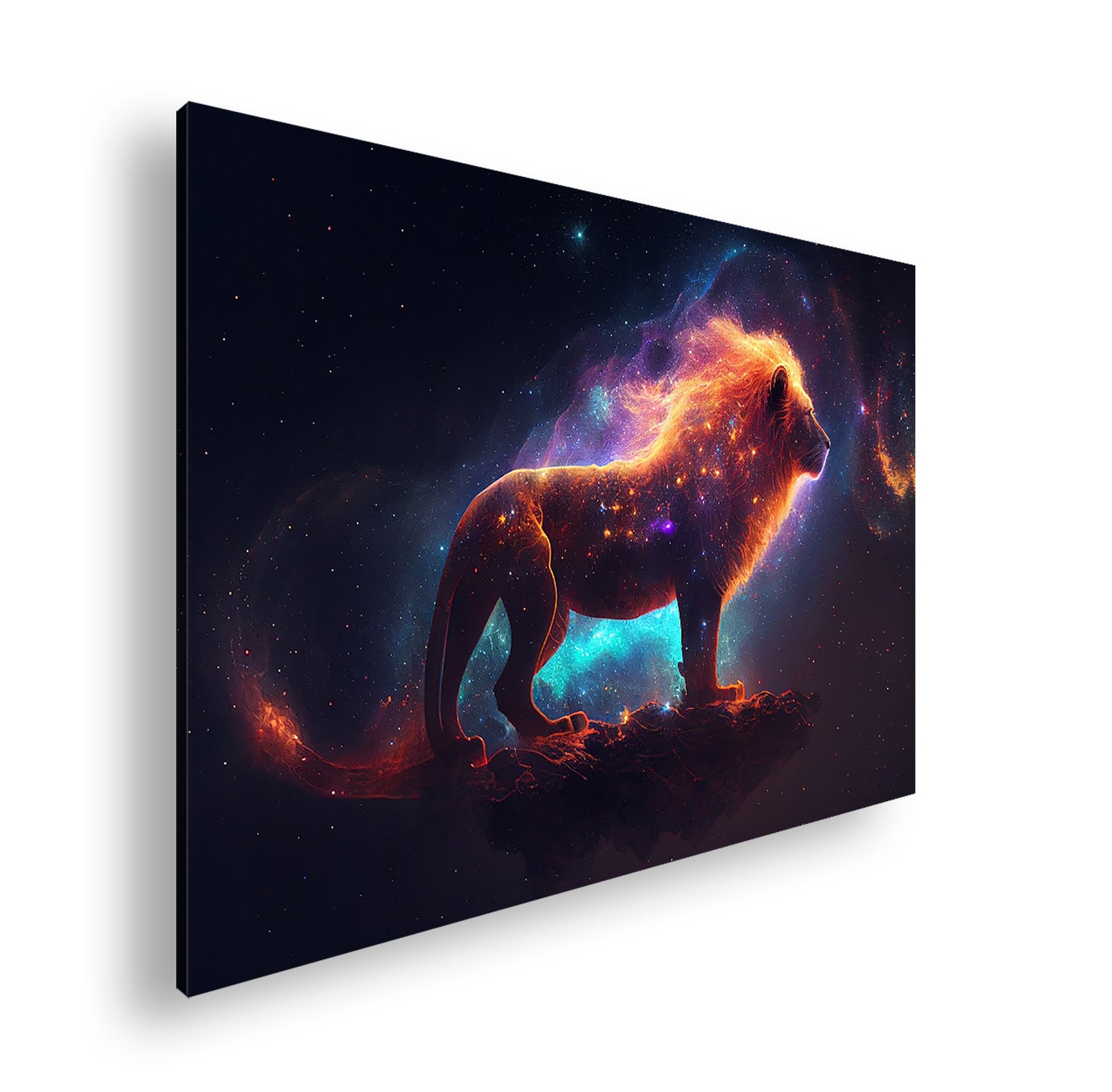 Hauptbild Farbig Standart