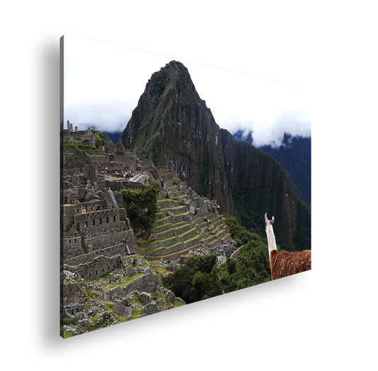 Hauptbild Farbig Standart